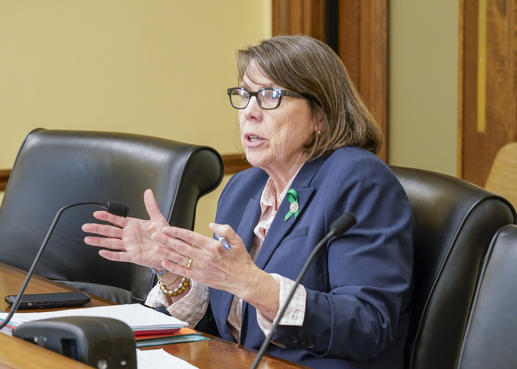 Rep. Patty Acomb presents HF4374 to the House Energy Finance and Policy Committee April 14.  The bill would make statutory changes to agencies that implement energy programs. (Photo by Andrew VonBank)